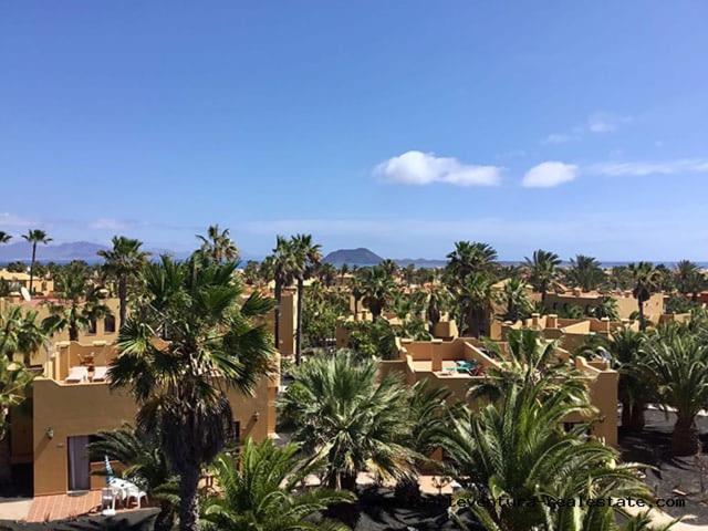 公寓 Oasis Papagayo 科拉雷侯
